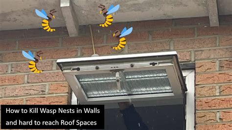 how to kill wasp inside electrical box|How to Keep Wasps Out of Electrical Box.